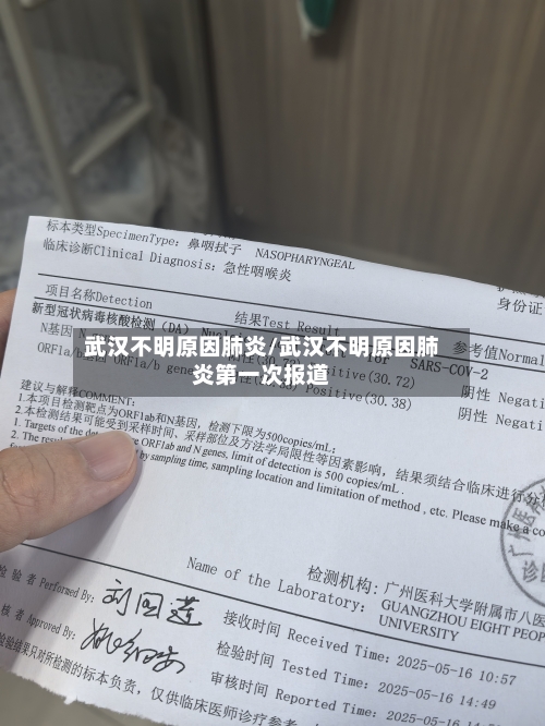 武汉不明原因肺炎/武汉不明原因肺炎第一次报道