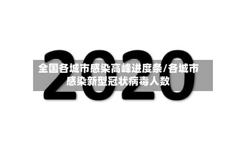 全国各城市感染高峰进度条/各城市感染新型冠状病毒人数-第2张图片