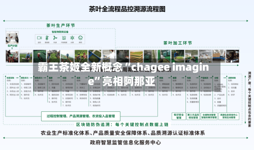 霸王茶姬全新概念“chagee imagine	”亮相阿那亚-第2张图片